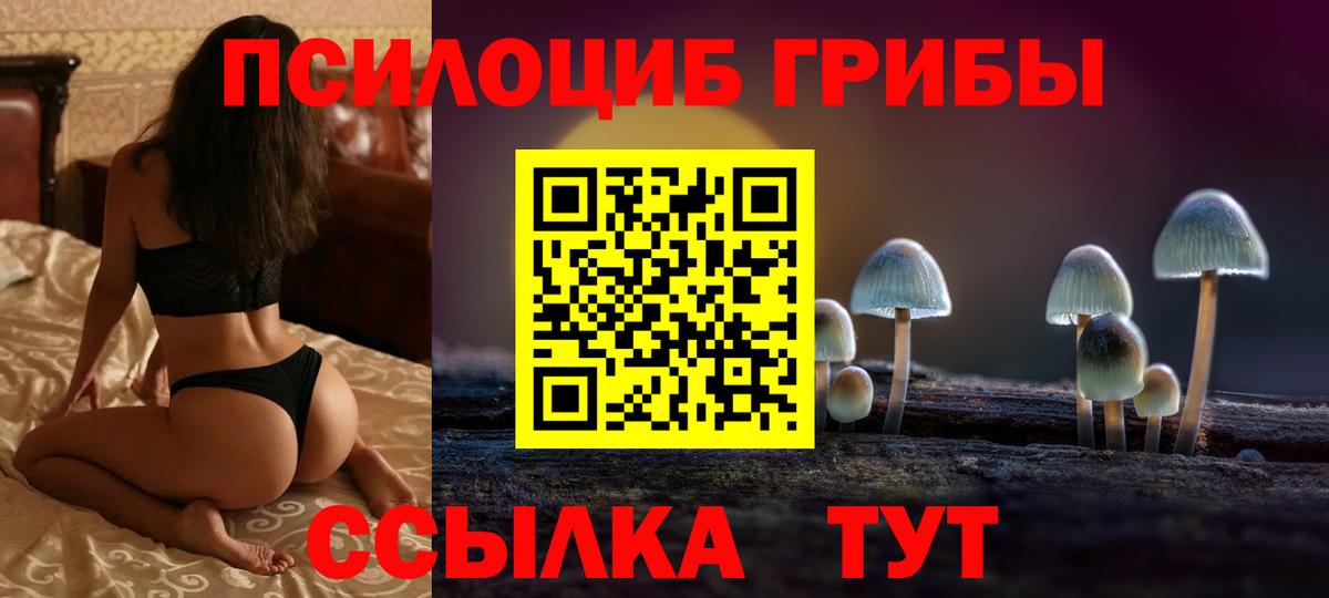 Галлюциногенные грибы Psilocybine cubensis  где найти наркотики  Зерноград  Вход с VPN  Псилоцибиновые грибы Psilocybine cubensis 