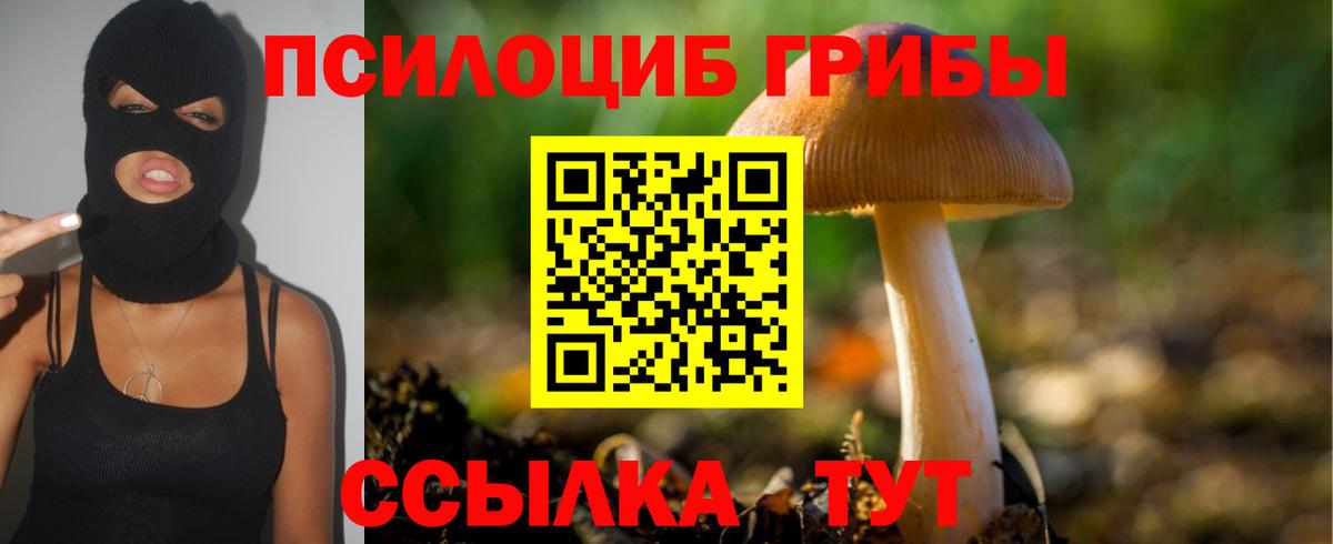 Галлюциногенные грибы Cubensis Зерноград
